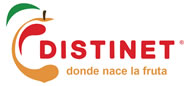 distinet-logo