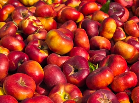 frutas-sanchez-frutas-hueso