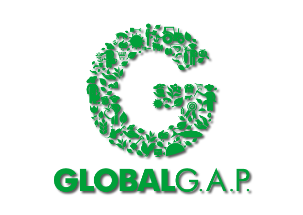 global-gap-frutas-sanchezy-martinez