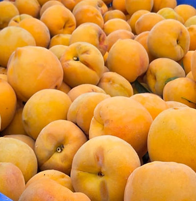 melocoton-frutas-sanchez